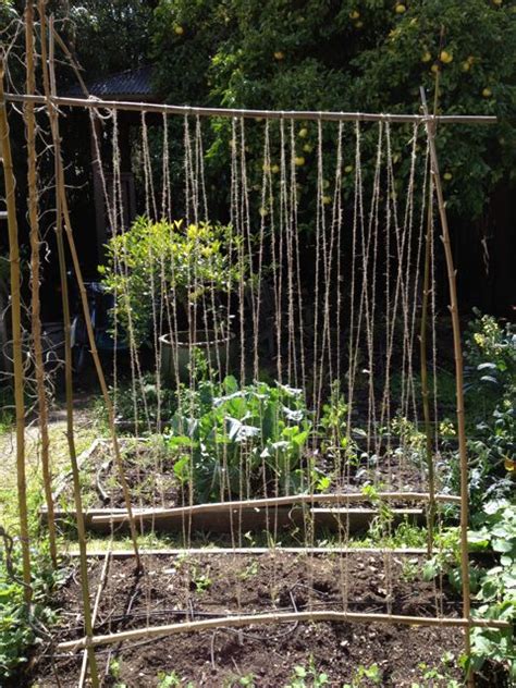 Pumpkinhouse Studio Blog Archive Pea Trellis