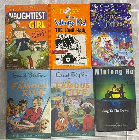 Story Books Geronimo Stilton Thea Stilton Dork Diaries The Famous Five The Naughtiest Girl