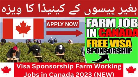 Canada Work Permit 2023 Farm Worker Jobs In Canada Canada Work Visa