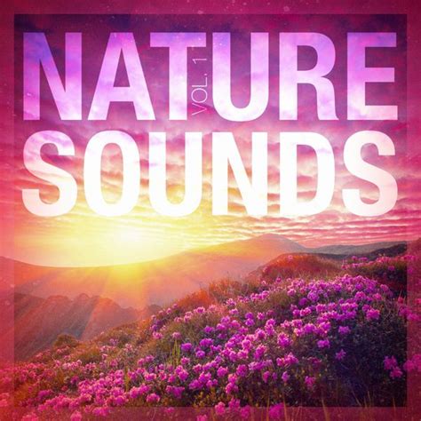 Nature Sounds Vol Relaxing Sounds Of Nature Qobuz