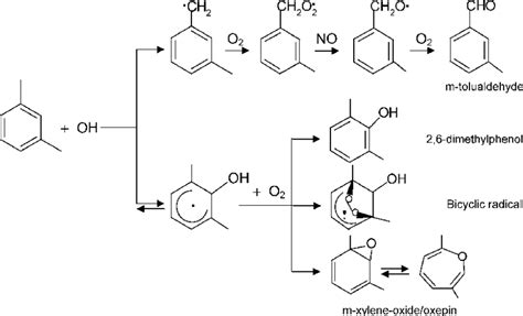 Scheme Mechanistic Diagram For The Oh Initiated Oxidation Of M