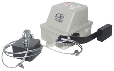 Heavy Duty Counter Weight Limit Switch A Hcwls A At Inr In