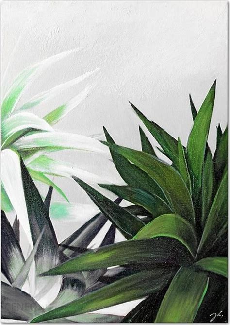 ART POL OBRAZ OLEJNY RĘCZNIE MALOWANY 60X90CM ZIELONY ALOES Opinie i