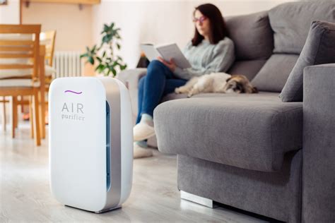 The 3 Most Cost Efficient Air Purifiers Iupilon