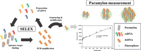 使用ssdna适体快速，准确地定量从细叶藻产生的对甲酰胺。journal Of Agricultural And Food