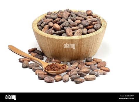 Raw Cocoa Beans In Wooden Bowl And Spoon With Cocoa Powder Chocolate