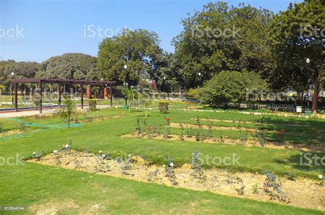 Rose Garden New Delhi India Stock Photo Download Image Now Delhi