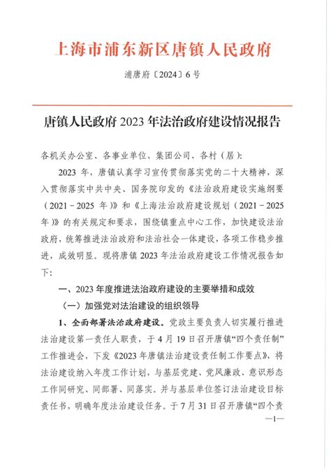 唐镇人民政府2023年法治政府建设情况报告法治政府建设年报