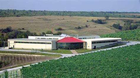 Vinařství, Vinice Bulharsko | Prowine.cz - bulharská vína a destiláty