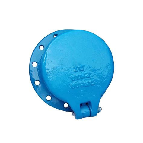 Ductile Iron Di 316 Stainless Steel Water Flap Check Valve With Flange Dn500 Pn10 China Flap