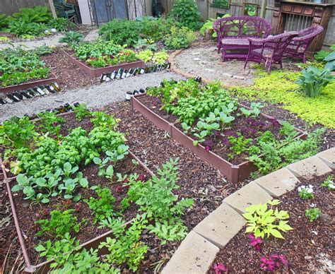 How To Plant A Full Shade Raised Vegetable Garden BedYear 2 Shawna