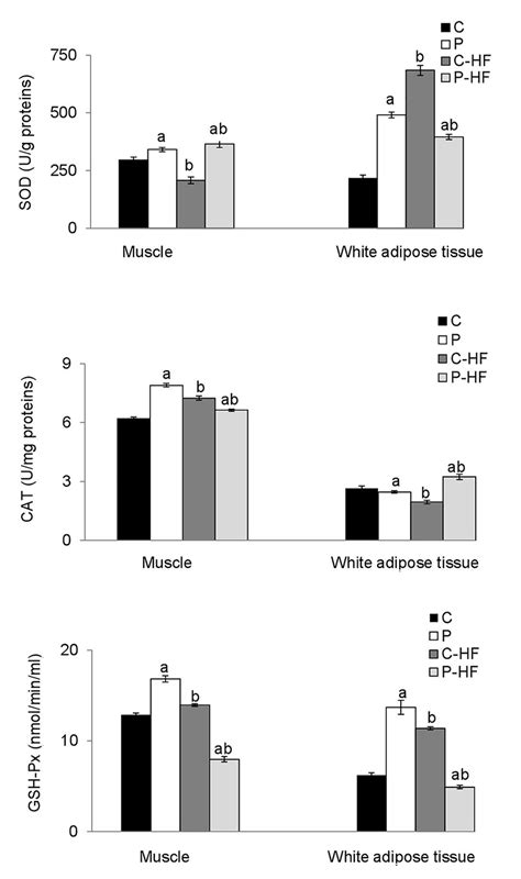 Antioxidant Enzymatic Activities Of Adipose And Muscle Tissue In Rats