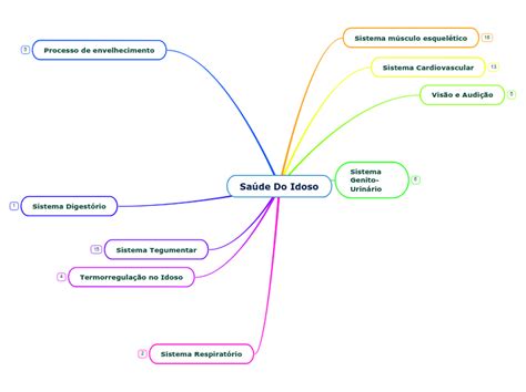 Sa De Do Idoso Mind Map