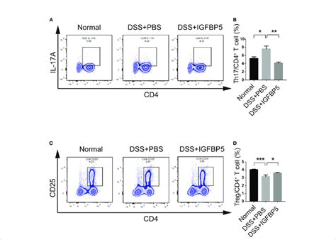 Igfbp5 Maintained The Balance Of Th17treg Cells In The Mesenteric