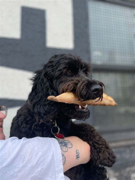 *position filled* WE ARE HIRING: LEAD CHEF — Mark's Bread