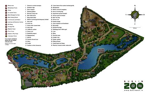 Dublin Zoo Map by amerindub on DeviantArt