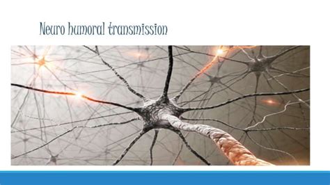 Neuro Humoral Transmission Ppt