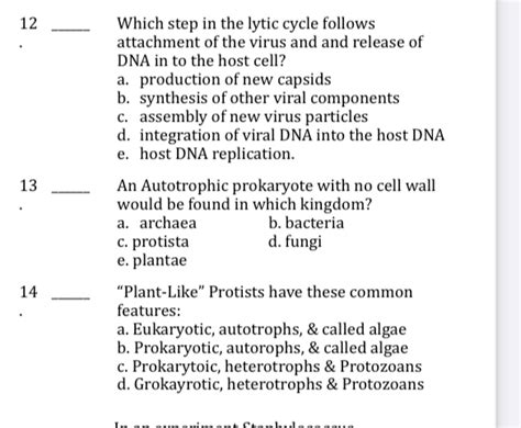 Steps Of The Lytic Cycle