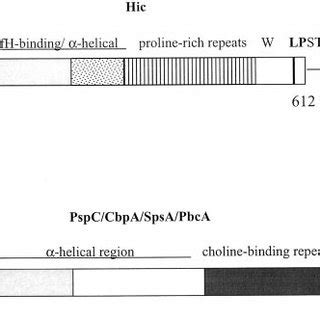 Comparison Of Hic And PspC Schematic Representation Of Hic And PspC