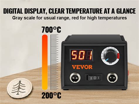 VEVOR Kit de Pyrogravure sur Bois 200 700C Réglable Pyrograveur