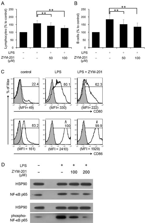 Effect Of Zym On The Activation Of Lps Stimulated B Cells In Vitro