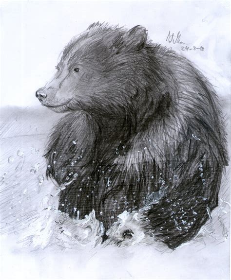 Bear Cub Sketch at PaintingValley.com | Explore collection of Bear Cub Sketch