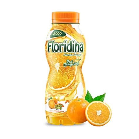 Jual Promo 2022 FLORIDINA Orange Minuman Siap Minum Botol 350ML 1pcs