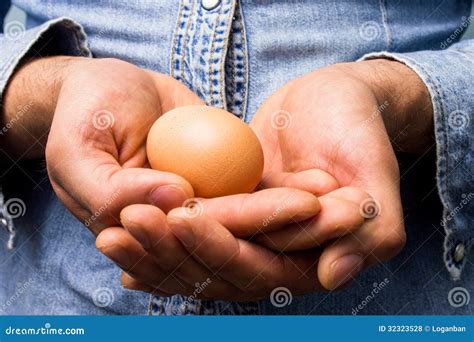 Hands Carefully Holding Egg Royalty Free Stock Photos Image