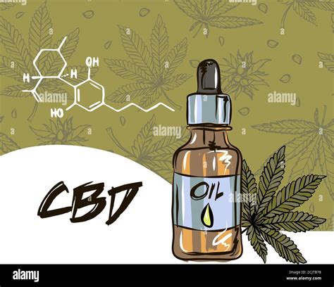 The Benefits Of Cbd Oil Medical Uses For Cbd Oil Cannabis Indica