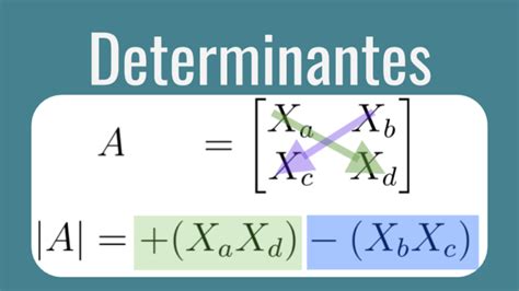 Determinantes En Álgebra Lineal Todo Lo Que Necesitas Saber Cfn