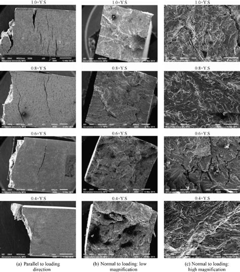 Fracture Characteristics Of Super 304H Parent Metal SCC Specimens