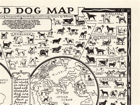 Vintage Dogs Wall Art Dogs Poster Map Breeds of Dogs Dog | Etsy