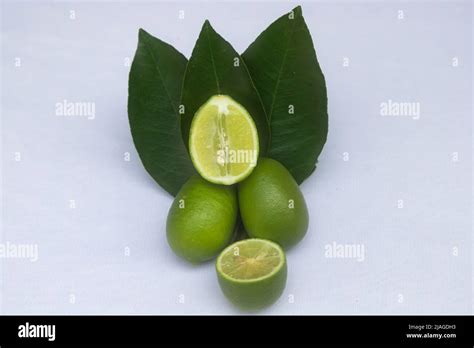 Fresh Green Lemon Slice Pieces With Leaf Testy Lemon Fruits