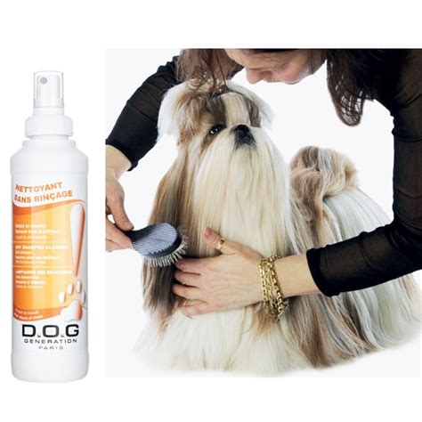 Shampooing Sec Pour Chien