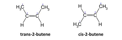 Stereoisomers: Definition, Types & Examples - Video & Lesson Transcript ...