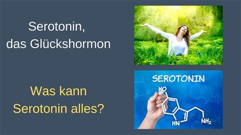 Serotonin Das Gl Ckshormon Qs Interviewt Dr Schmiedel Was Kann