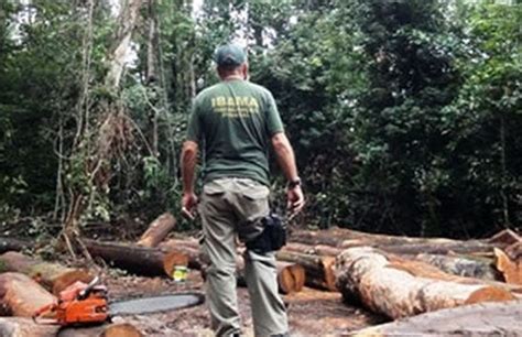 Ibama publica resultados do concurso para técnico e analista ambiental