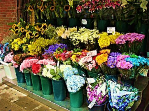 July In Nyc Flower Vendor Nate Flickr