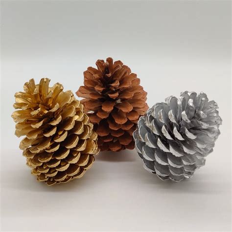 Large Pine Cones Etsy