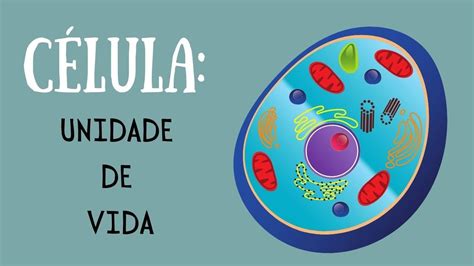 Aula Célula Unidade Básica Da Vida Youtube