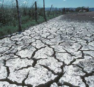 La salinidad y sodicidad en suelos Diagnóstico y tratamientos