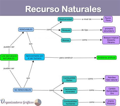 Organizador Gráfico Sobre Los Recursos Renovables Y No Renovables