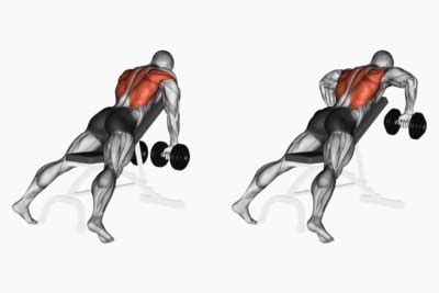 Dumbbell Lat Exercises To Beef Up Your Back Workout