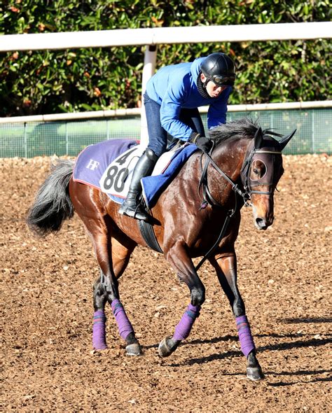 土曜メインレースの注目激走馬中京11r中日新聞杯・g3 Umatoku 馬トク