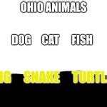 ohio animals 2 Meme Generator - Imgflip