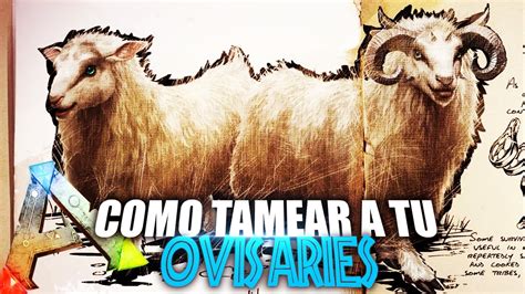 Como Tamear A Tu Ovis Aries Guia Español Ark Survival Evolved