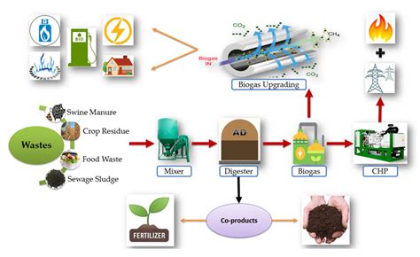 Schematic Diagram Of Biogas Production Processes Chp Combined Heat