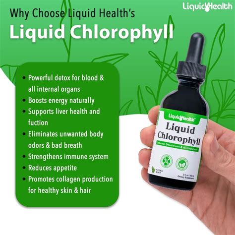 Liquidhealth Chlorophyll Drops Internal Deodorant And Oral Cleanse Treatment Detox And Energy