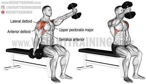 Seated alternating dumbbell front raise exercise instructions and video