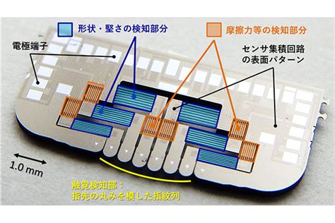 私達が持つ繊細な指先の感覚を可視化するナノ触覚センサPict Labo国立大学56工学系学部HP